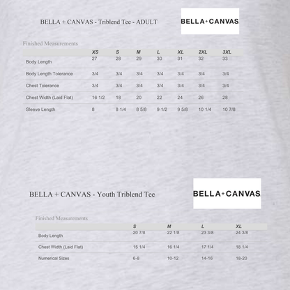 Bella Canvas Gray Triblend
