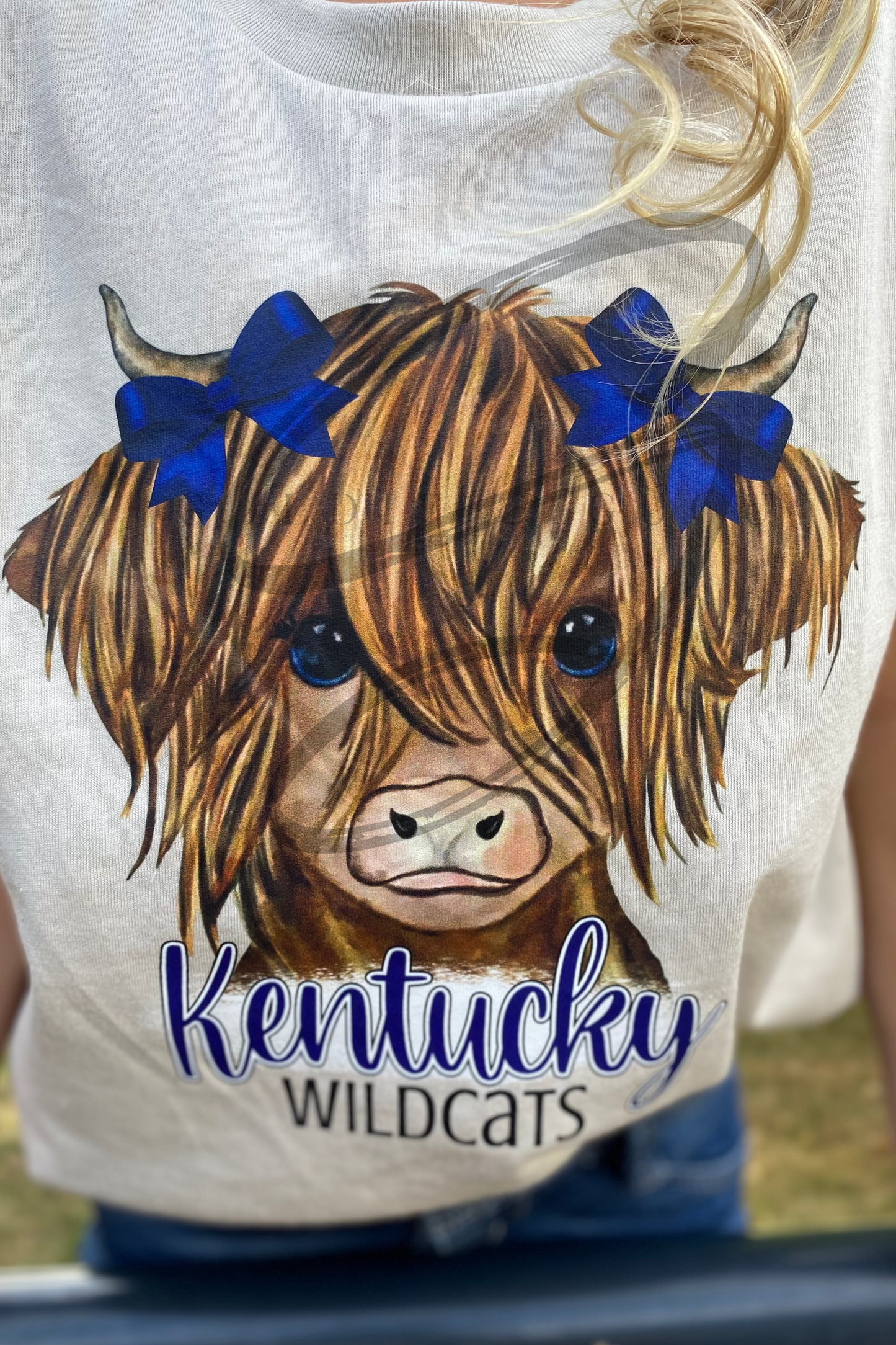 Farm Collection Kentucky Wildcats